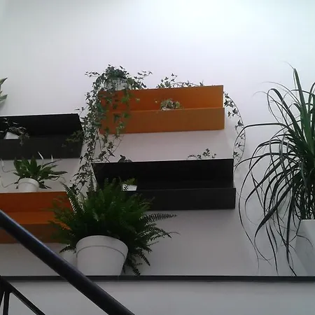 Casa Zafarani Holiday home *