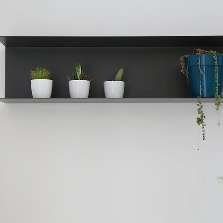 Casa Zafarani *